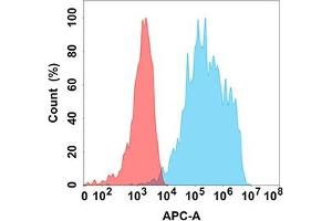 Flow cytometry analysis with Anti-IL18RA (DM218) on Expi293 cells transfected with human IL18RA (Blue histogram) or Expi293 transfected with irrelevant protein (Red histogram). (IL18R1 Antikörper)