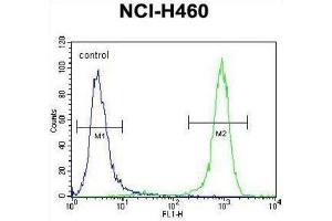 Flow Cytometry (FACS) image for anti-Phosphatidylinositol-3,4,5-Trisphosphate-Dependent Rac Exchange Factor 1 (PREX1) antibody (ABIN2996829) (PREX1 Antikörper)