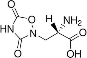Chemical structure of Quisqualic Acid , a Glutamate receptor agonist. (Quisqualic Acid)