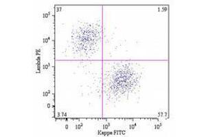 Flow Cytometry (FACS) image for Mouse anti-Human Ig (Chain kappa), (Light Chain) antibody (PE) (ABIN238382) (Maus anti-Human Ig (Chain kappa), (Light Chain) Antikörper (PE))