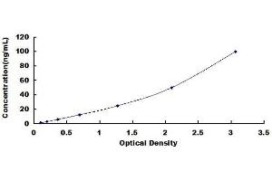 ELISA image for Gastrokine 2 (GKN2) ELISA Kit (ABIN1570061) (Gastrokine 2 ELISA Kit)