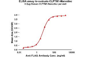 Elisa plates were pre-coated with Flag Tag CL-Nanodisc (0. (CLPTM1 Protein)