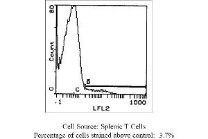 Hamster anti T-Cell Receptor TCR gamma/delta GL3 (TCR gamma/delta Antikörper  (Biotin))