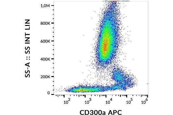 CD300a Antikörper  (APC)
