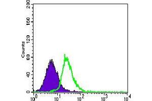 Flow Cytometry (FACS) image for anti-Myocyte Enhancer Factor 2C (MEF2C) (AA 1-125) antibody (ABIN1098145)