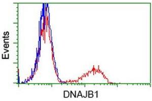Flow Cytometry (FACS) image for anti-DnaJ (Hsp40) Homolog, Subfamily B, Member 1 (DNAJB1) antibody (ABIN1498735) (DNAJB1 Antikörper)