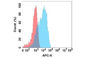 Flow cytometry analysis with Anti- on Expi293 cells transfected with human (Blue histogram) or Expi293 transfected with irrelevant protein (Red histogram). (GPR87 Antikörper)