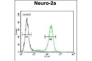 Flow cytometric analysis of Neuro-2a cells (right histogram) compared to a negative control cell (left histogram). (DDX11 Antikörper  (AA 656-683))