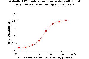 ELISA plate pre-coated by 2 μg/mL (100 μL/well) Human A Protein, hFc Tag (ABIN7092714, ABIN7272246 and ABIN7272247) can bind Anti-A Neutralizing antibody (ABIN7478005 and ABIN7490944) in a linear range of 2. (Rekombinanter AMHR2 (Murlentamab Biosimilar) Antikörper)