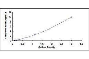 ELISA image for Von Willebrand Factor (VWF) ELISA Kit (ABIN414439) (VWF ELISA Kit)