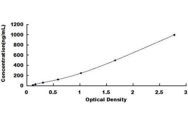 LPO ELISA Kit