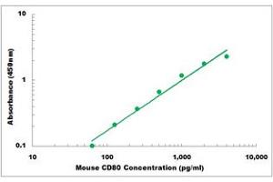 Representative Standard Curve (CD80 ELISA Kit)