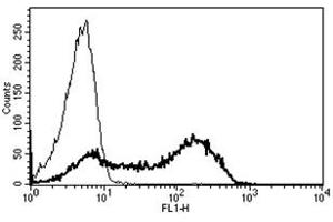 Flow Cytometry (FACS) image for anti-Protein tyrosine Phosphatase, Receptor Type, C (PTPRC) antibody (ABIN1106403) (CD45 Antikörper)