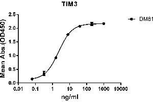 ELISA plate pre-coated by 2 μg/mL (100 μL/well) Human protein, mFc-His tagged protein ABIN6961103, ABIN7042235 and ABIN7042236 can bind Rabbit anti- monoclonal antibody (clone: DM81) in a linear range of 0. (TIM3 Antikörper  (AA 22-202))