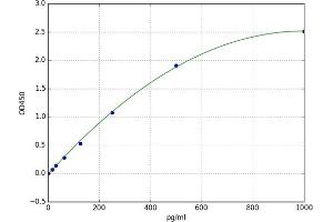 A typical standard curve (CCL6 ELISA Kit)