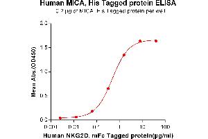 ELISA plate pre-coated by 2 μg/mL (100 μL/well) Human MICA, His tagged protein (ABIN6964102, ABIN7042459 and ABIN7042460) can bind Human D, mFc tagged protein (ABIN6961134, ABIN7042297 and ABIN7042298) in a linear range of 0. (MICA Protein (AA 24-307) (His tag))