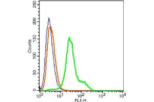 Human 293T cells probed with Claudin 1 Polyclonal Antibody, A488 conjugated (bs-1428R-A488) (green) at 1:100 for 30 minutes compared to unstained cells (blue) and isotype control (orange). (Claudin 1 Antikörper  (AA 121-211) (AbBy Fluor® 488))