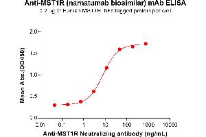 ELISA plate pre-coated by 2 μg/mL (100 μL/well) Human R Protein, hFc Tag (ABIN6964141, ABIN7042561 and ABIN7042562) can bind Anti-R Neutralizing antibody (ABIN7478014 and ABIN7490967) in a linear range of 0. (Rekombinanter MST1R (Narnatumab Biosimilar) Antikörper)