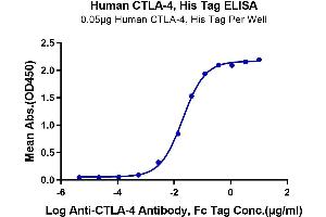 ELISA image for Cytotoxic T-Lymphocyte-Associated Protein 4 (CTLA4) (AA 36-161) protein (His tag) (ABIN7274435)