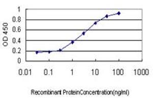 ELISA image for anti-Runt-Related Transcription Factor 2 (RUNX2) (AA 251-350) antibody (ABIN560185)