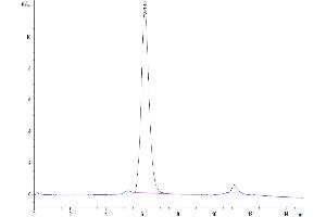 Size-exclusion chromatography-High Pressure Liquid Chromatography (SEC-HPLC) image for Interleukin 17 Receptor A (IL17RA) protein (Fc-Avi Tag,Biotin) (ABIN7274907)