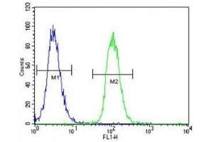 MITF antibody flow cytometric analysis of K562 cells (right histogram) compared to a negative control (left histogram) (MITF Antikörper  (AA 1-28))