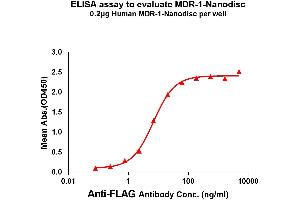Elisa plates were pre-coated with Flag Tag MDR-1-Nanodisc (0. (Malic Enzyme Complex, Mitochondrial (Mod2) Protein)