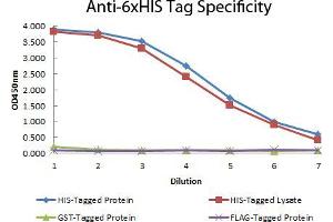 ELISA image for anti-His Tag antibody (DyLight 549) (ABIN6720714)