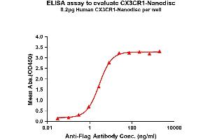 Elisa plates were pre-coated with Flag Tag CX3CR1-Nanodisc (0. (CX3CR1 Protein)