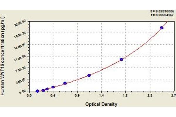 WNT16 ELISA Kit