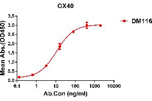 ELISA plate pre-coated by 2 μg/mL (100 μL/well) Human OX40 protein, hFc-His tagged protein ABIN6961095, ABIN7042219 and ABIN7042220 can bind Rabbit anti-OX40 monoclonal antibody  (clone: DM116) in a linear range of 6-70 ng/mL. (TNFRSF4 Antikörper  (AA 29-216))