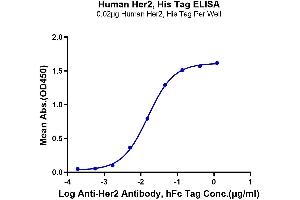 ELISA image for Receptor tyrosine-protein kinase erbB-2 (ErbB2/Her2) (AA 23-652) protein (His-Avi Tag) (ABIN7274799)