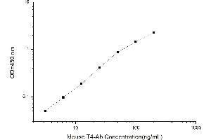 Typical standard curve (T4 Ab ELISA Kit)