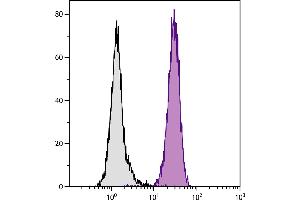 Human peripheral blood granulocytes were stained with Mouse Anti-Human CD11b-BIOT. (CD11b Antikörper  (Biotin))