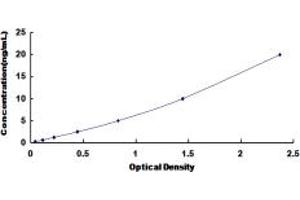 Typical standard curve (CACNA1F ELISA Kit)