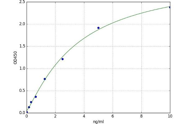 HOGA1 ELISA Kit