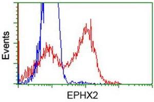 Flow Cytometry (FACS) image for anti-Epoxide Hydrolase 2, Cytoplasmic (EPHX2) antibody (ABIN1500857) (EPHX2 Antikörper)