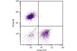 BALB/c mouse splenocytes were stained with Hamster Anti-Mouse CD3ε-FITC. (CD3 epsilon Antikörper  (FITC))