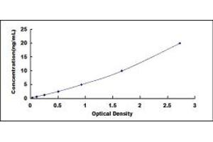 Typical standard curve (ETFB ELISA Kit)