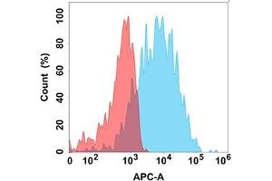 Flow cytometry analysis with Anti-SELP (DM150) on Expi293 cells transfected with human SELP (Blue histogram) or Expi293 transfected with irrelevant protein (Red histogram). (P-Selectin Antikörper  (AA 42-771))