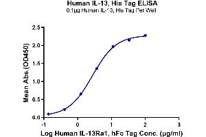 ELISA image for Interleukin 13 (IL13) (AA 21-132) protein (His-Avi Tag) (ABIN7274900)