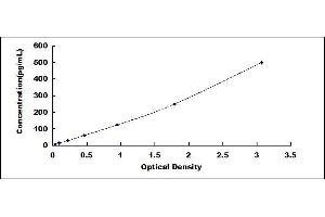 Typical standard curve (TNF alpha ELISA Kit)