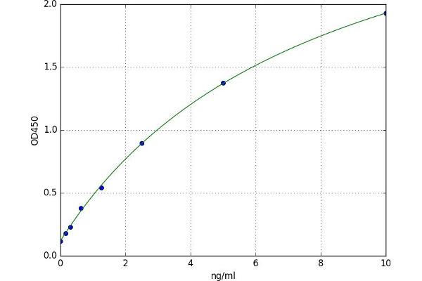 GRHPR ELISA Kit