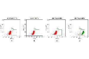 FACS analysis of ADA MNPs A. (Adenosine A2a Receptor Protein (ADORA2A))