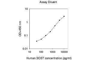 ELISA image for Sclerostin (SOST) ELISA Kit (ABIN2703466) (Sclerostin ELISA Kit)