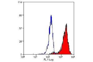 Flow Cytometry (FACS) image for anti-Lysosomal-Associated Membrane Protein 2 (LAMP2) antibody (ABIN2478101) (LAMP2 Antikörper)