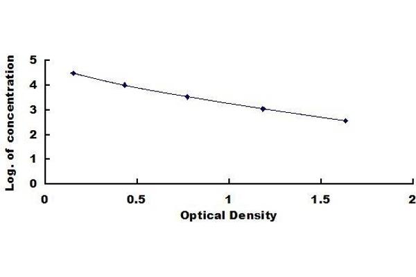 FPB ELISA Kit