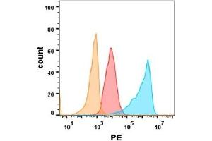 EGFR protein is highly expressed on the surface of Expi293 cell membrane. (EGFR Antikörper  (AA 25-645))