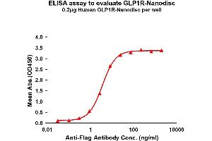 Elisa plates were pre-coated with Flag Tag R-Nanodisc (0. (GLP1R Protein)