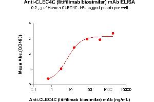 ELISA plate pre-coated by 2 μg/mL (100 μL/well) Human CC Protein, hFc Tag (ABIN7490945 and ABIN7490947) can bind Anti-CC (litifilimab biosimilar) mAb (ABIN7478040 and ABIN7491029) in a linear range of 0. (Rekombinanter CLEC4C (Litifilimab Biosimilar) Antikörper)